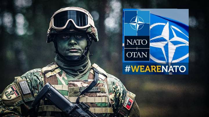 NATO: Të bashkohemi në festën e Ditës së Pavarësisë së Shqipërisë