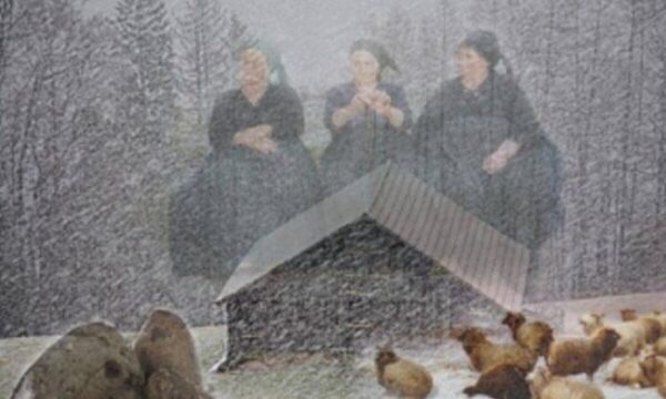 Kjo është historia e legjendës “Po shkunden plakat”