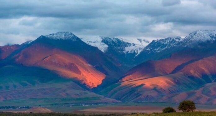 Gjendet origjina e pandemisë më të rëndë që ka kaluar njerëzimi