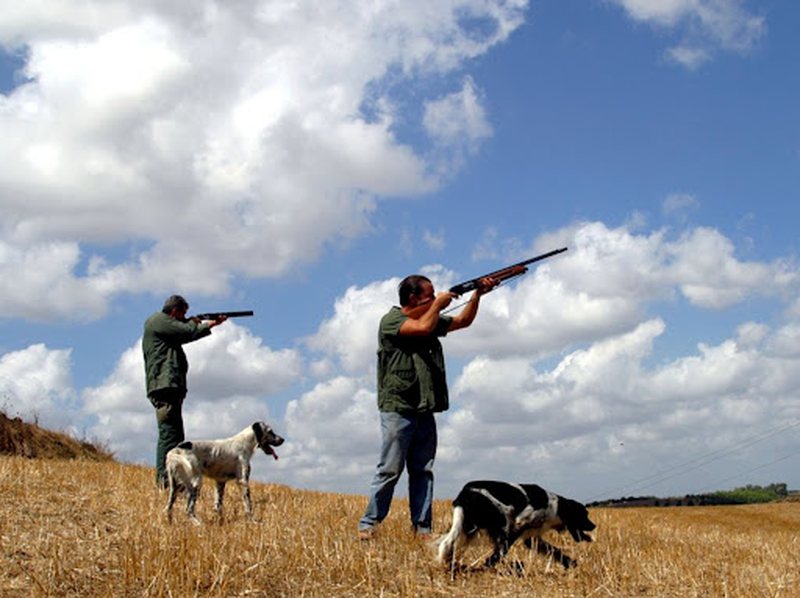 Gjuetarët të pakënaqur: Moratoriumi i gjuetisë, rriti paligjshmërinë