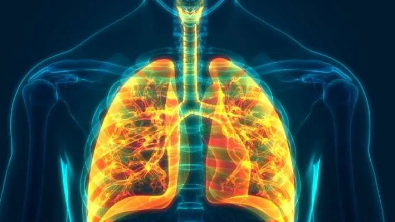 Hap i madh në mjekësi – Inteligjenca Artificiale ndihmon në diagnostikimin e sëmundjeve të mushkërive