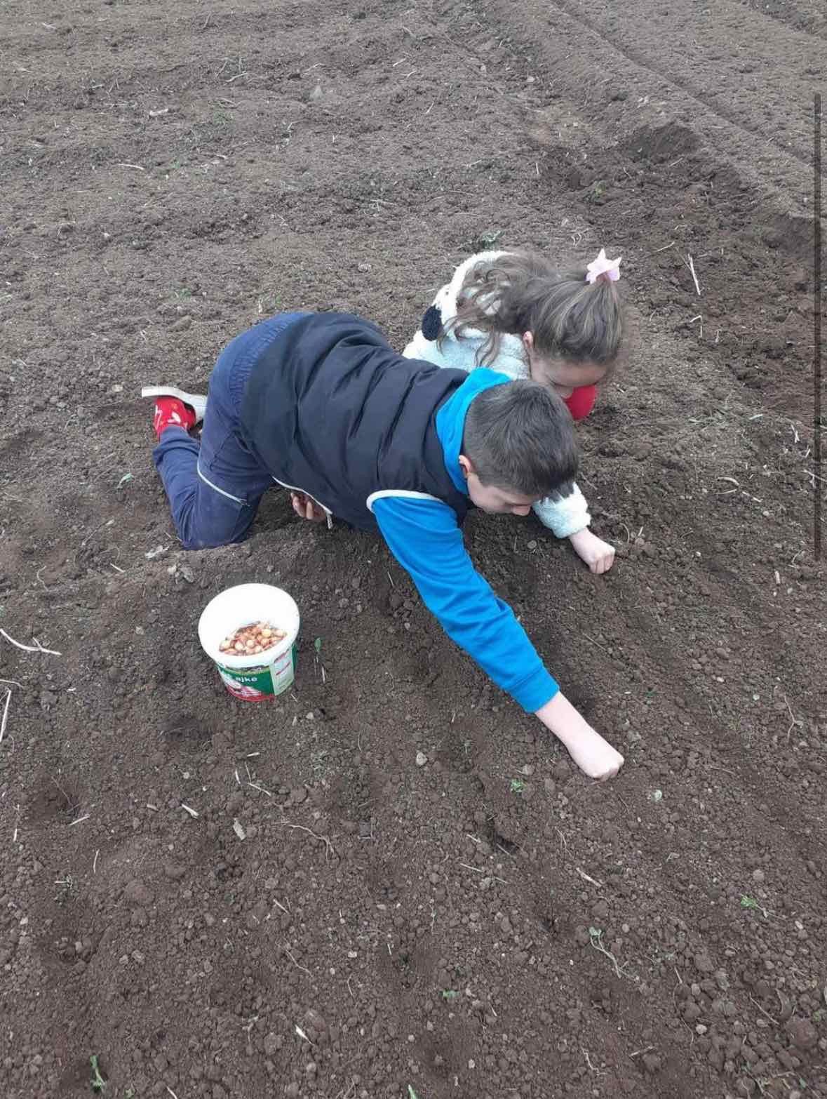Shembull frymëzues nga Deçani: Fëmijët e vegjël ndihmojnë në mbjelljen e kopshtit