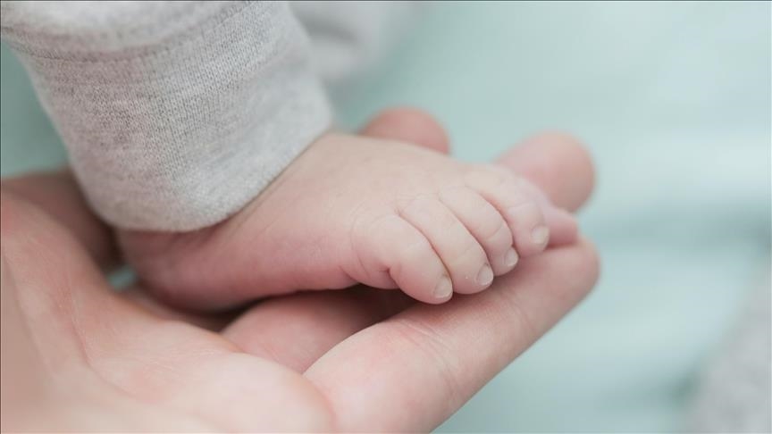 Ngritet alarmi nga ekspertët për rënien e fertilitetit në mbarë botën