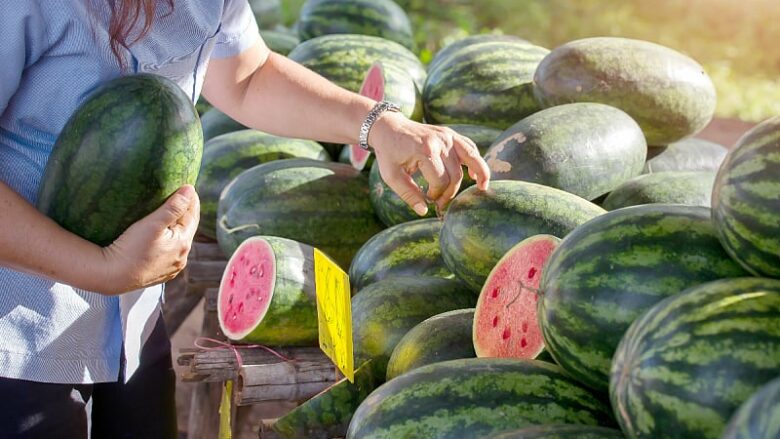 Si ta zgjidhni shalqirin më të ëmbël, përdorni këto metoda tradicionale