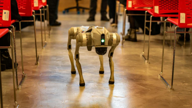 hong-kongu-do-te-perdore-qen-robote-per-te-luftuar-virusin-qe-perhapet-nga-mushkonjat