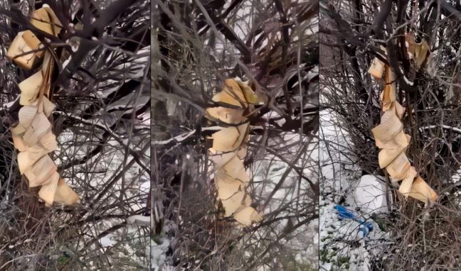 Dëmtimi i Kuranit në Gjakovë, Policia aktivizohet për ta zbuluar autorin e dyshuar