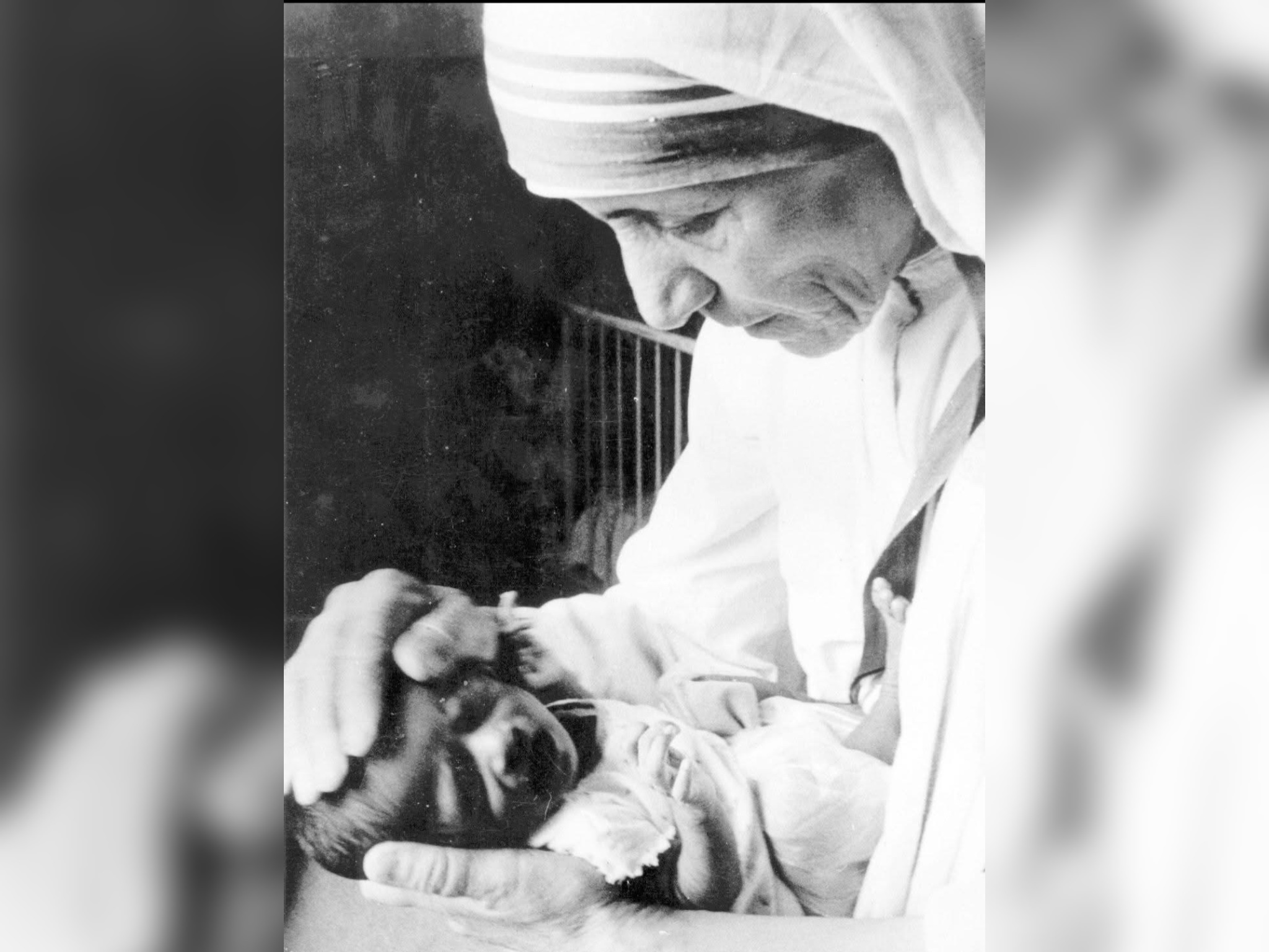 Shën Tereza: Gjigantja e Dashurisë përballë Shkurtabiqëve të Shpifjes